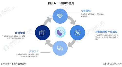 干細(xì)胞技術(shù)最新預(yù)測 裴鋼院士強(qiáng)調(diào)前沿生物醫(yī)藥產(chǎn)品開發(fā)需確保三大核心要素